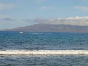 maui (1)