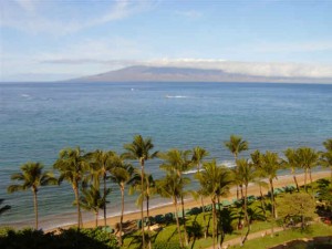 maui (16)