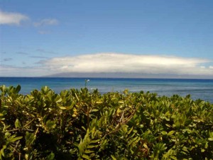 maui (7)