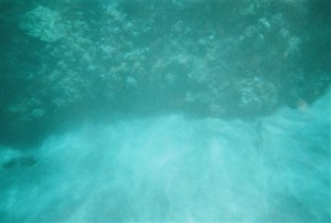 snorkel_lanai (16)