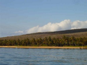 snorkel_lanai (30)