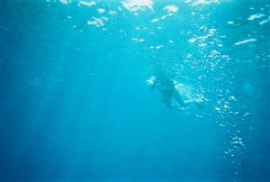snorkel_lanai (6)