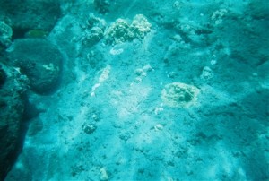snorkel_lanai (9)